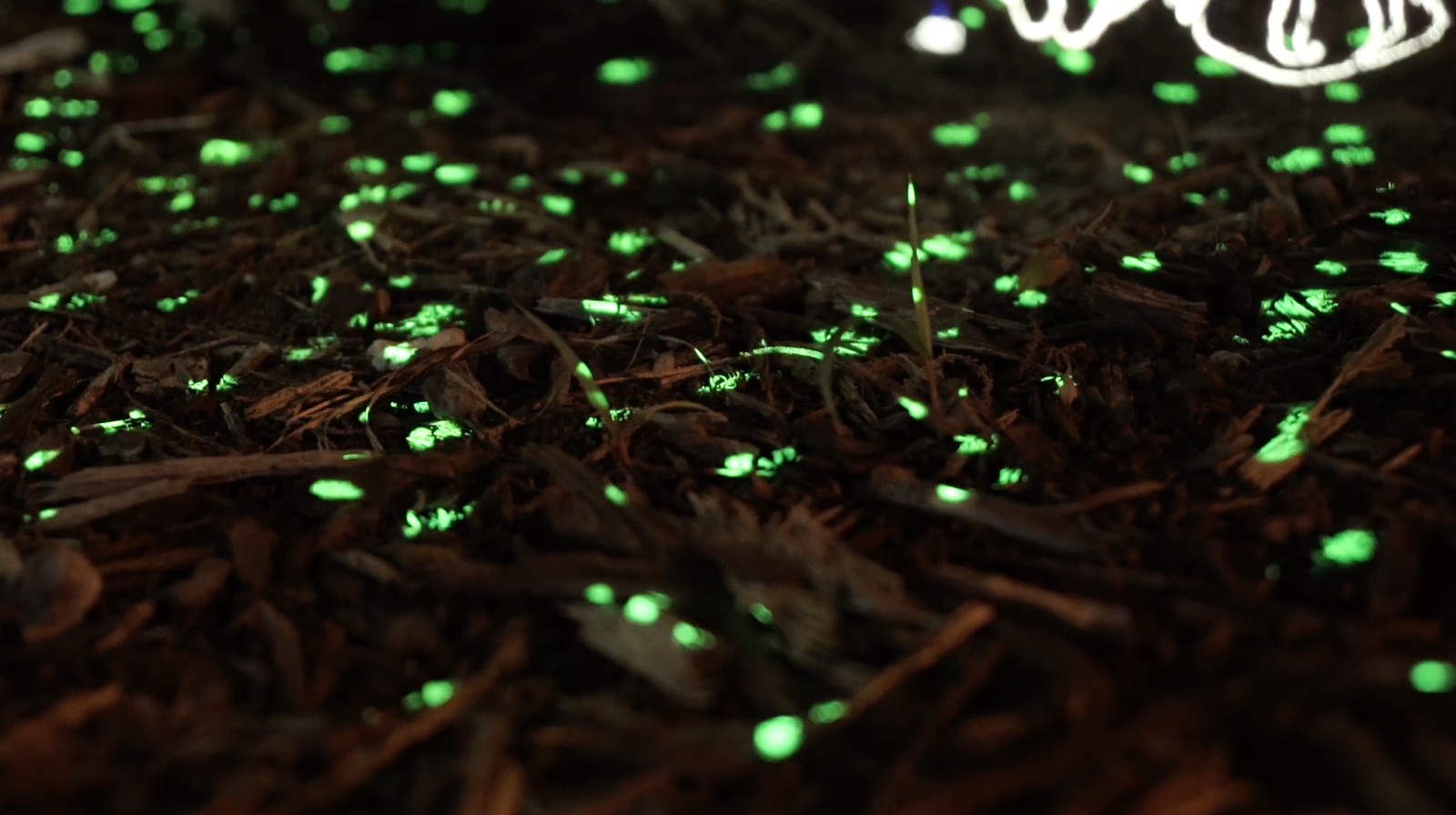 Screen Shot 2015-06-08 at 11.10.46 AM.png